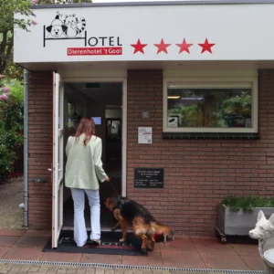 dierenhotel-t-gooi-sfeer-1